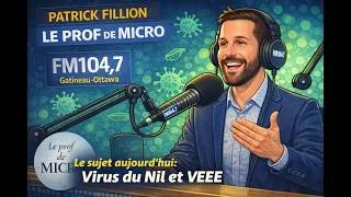 Miniature : Virus du Nil occidental et virus de l'encéphalite équine de l'Est