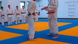 Miniature : 30 avril 2026 Intronisation à la CEINTURE NOIRE à Etapes sur mer, le 150 ème SHODAN
