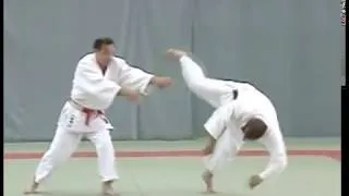 Miniature : KODOKAN GOSHIN JUTSU
