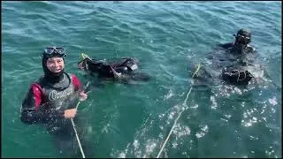 Miniature : Etude et protection  de la faune sous marine aux Anguillons-Sablonneys