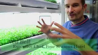 Miniature : Le cultivateur urbain commercial