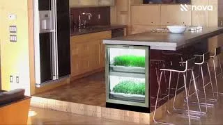 Miniature : Le cultivateur urbain résidentiel