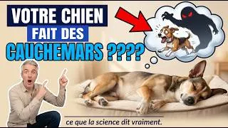 Miniature : La Psychologie Des Chiens Qui Font Des Cauchemars (Ce Que La Science Révèle)