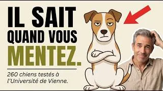 Miniature : La Psychologie Des Chiens Qui Ne Vous Font Plus Confiance (La Vraie Raison)