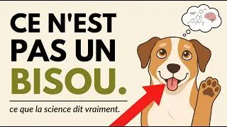 Miniature : La Psychologie Des Chiens Qui Lèchent Votre Visage (Ce N'Est Pas Ce Que Vous Croyez)