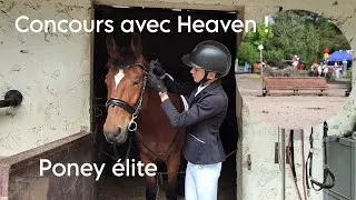 Miniature : UN DRESSAGE EN PRESQUE 80% 🤯