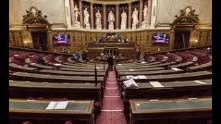 Miniature : ✅  Lutte contre la haine en ligne : Le Sénat vote une version de la proposition de loi très différen
