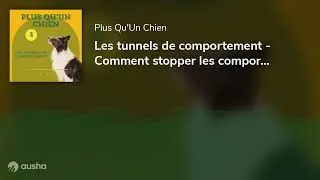 Miniature : Les tunnels de comportement - Comment stopper les comportements problématiques ?