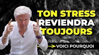Miniature : Stress et anxiété : la vraie cause que 90% des approches ignorent complètement