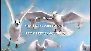 Miniature : BALLET DES MOUETTES Salon des Artistes du Val de Marne 2026