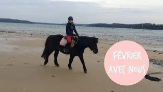 Miniature : Février en vidéos !
