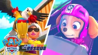 Miniature : Les aigles attaquent! 🦅🚨  Winnie a besoin de l'aide de Stella! | La Pat' Patrouille
