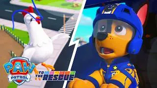 Miniature : Suis les empreintes! Chase retrouve Galinetta! 🎈| La Pat' Patrouille