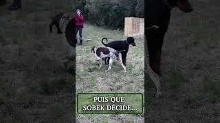 Miniature : Quand le régulateur decide que c'est l'heure pour la correction...