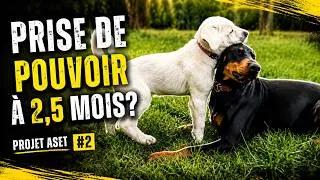 Miniature : Créer une future régulatrice : ce que personne ne vous explique
