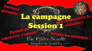 Miniature : The Elder Scrolls La Trahison de la Deuxième Ere: La Campagne - Session 1