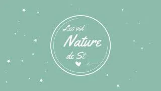 Miniature : [ Les vidéos de Steven // Le guêpier en goguette ]