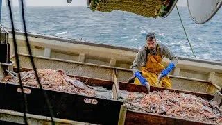 Miniature : Portrait : Cédric Kerdranvat, marin pêcheur au Guilvinec