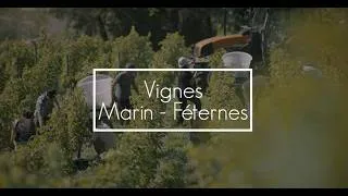 Miniature : Les vignes : Marin et Féternes