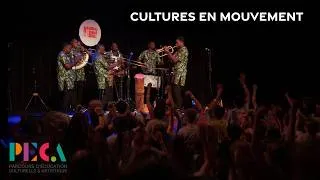 Miniature : Cultures en mouvement - Journée inter-écoles en primaire