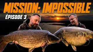 Miniature : FOX MISSION IMPOSSIBLE CARPE - 72H sur un LANDAIS