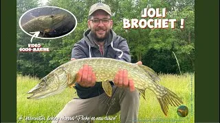 Miniature : Brochet du matin - 80cm - Vidéo sous-marine