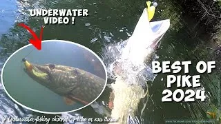 Miniature : Best of Pike 2024 - Underwater fishing footage