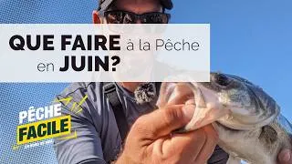 Miniature : Que faire à la pêche en juin ? | Bar, dorades et techniques du bord en été