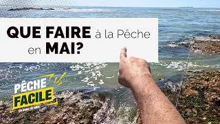 Miniature : Que faire à la pêche en mai ? Ça s'active du bord