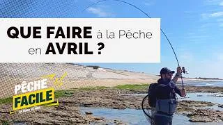 Miniature : Que faire à la pêche en avril ? | Reprise du bar, surfcasting et pêche du bord