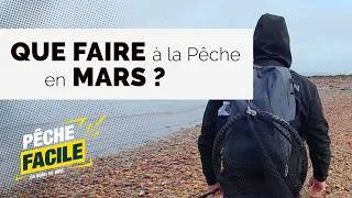 Miniature : Pêche en mars | Pourquoi c'est LE meilleur moment pour le bar ?