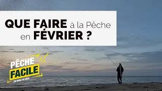 Miniature : FÉVRIER à la pêche : Pourquoi le Surfcasting est votre meilleur allié en hiver