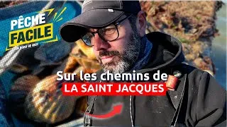 Miniature : COMMENT PÊCHER SIMPLEMENT 🦪 les Saint-Jacques du réveillon !
