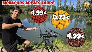 Miniature : Quel sera le MEILLEUR APPÂT pour PÊCHER la CARPE ?