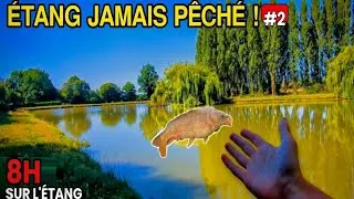 Miniature : CHOC : JE RETOURNE DANS CETTE ÉTANG APRÈS 40 ANS SANS PÊCHE ! (Épisode 2)