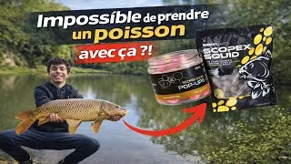 Miniature : Quand la pluie a tout changé (session carpe) Bye 2k25 🥲