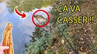 Miniature : PÊCHER au PAIN en AUTOMNE ?? C'est le défi que je me suis lancé.. 