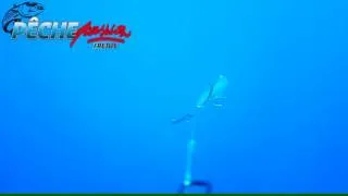 Miniature : Pêche Passion - Pêche Sériole WaterWolf