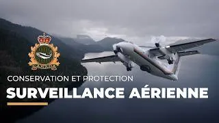 Miniature : Patrouiller dans les airs: Programme de surveillance aérienne