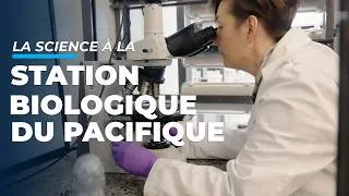 Miniature : Bienvenue à la Station biologique du Pacifique!