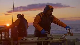 Miniature : Les pêches durables : Un engagement régional et local (extraits)