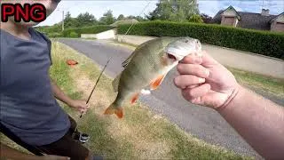 Miniature : Le ZAP des PNG Partie 2