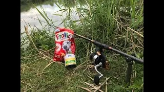 Miniature : Comment pêcher la carpe en étang pendant l'été ? PNG