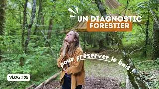Miniature : Analyse d'une TECHNICIENNE FORESTIERE + PANNEAUX directionnels | Vlog 5 Education par la nature