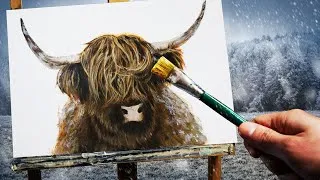 Miniature : Démonstration peinture animalière : une vache Highland à l'acrylique