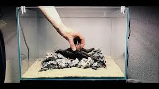 Miniature : J’ai créé un paysage aquatique incroyable… tu vas pas y croire !