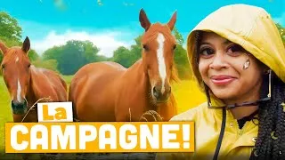 Miniature : LA CAMPAGNE