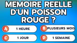 Miniature : NOUVEAU QUIZ CULTURE GENERALE, COMBIEN DE BONNES REPONSES ?