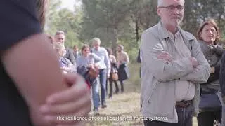 Miniature : PEPR FORESTT - Presentation of the program