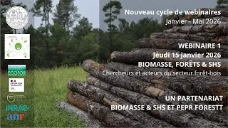 Miniature : Biomasse Forêts & SHS - Webinaire 1 : Gérer les dépérissements à l’amont forestier.